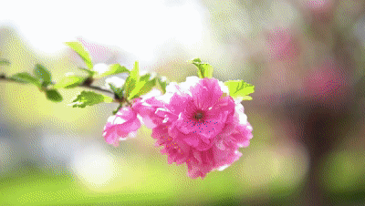 stodownload (4)[00_02_35--00_02_55].gif